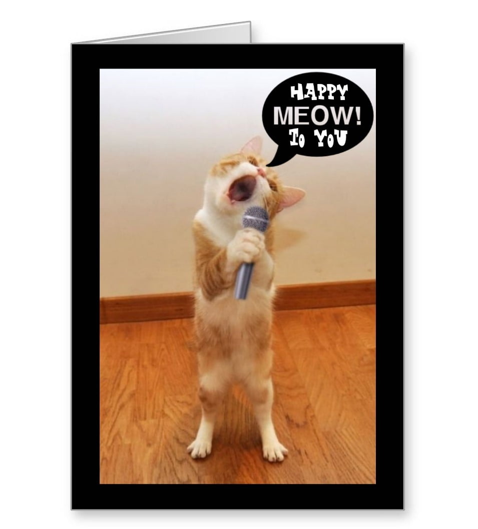 cat birthday card attack