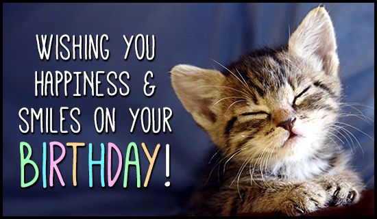 cat birthday cards email